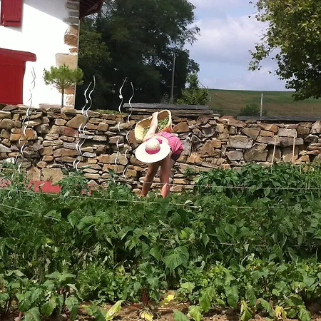 Maison Etchebehere